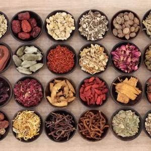 Herbal Medicine Herbal Medicine